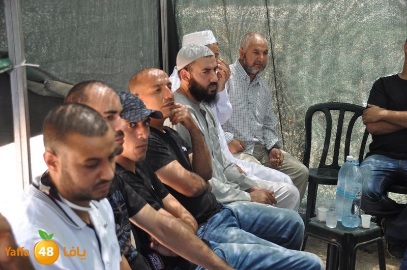 sol7desoqylud615 (23).JPG